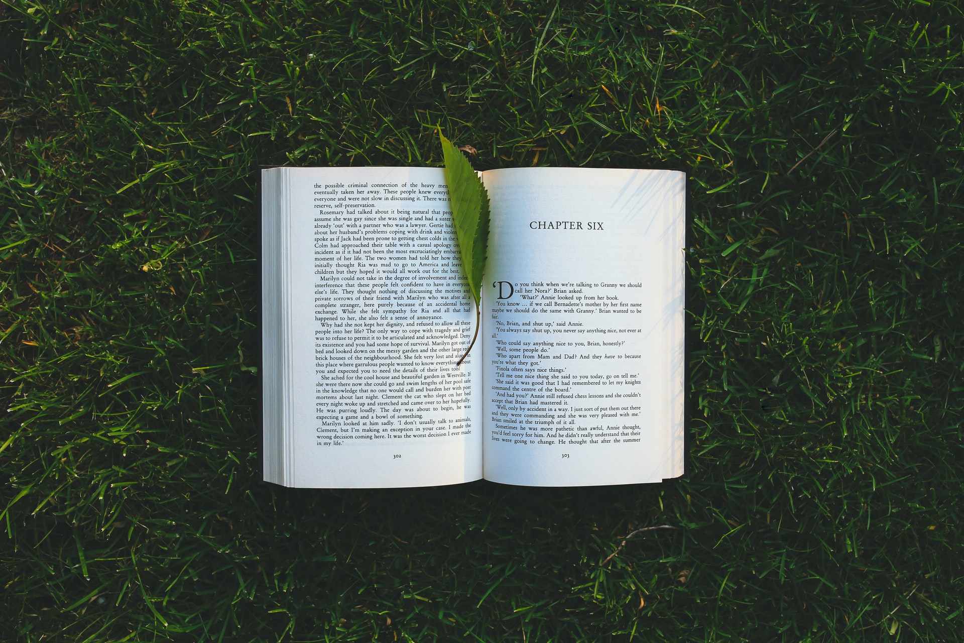 30% Discount On Books Learn Language